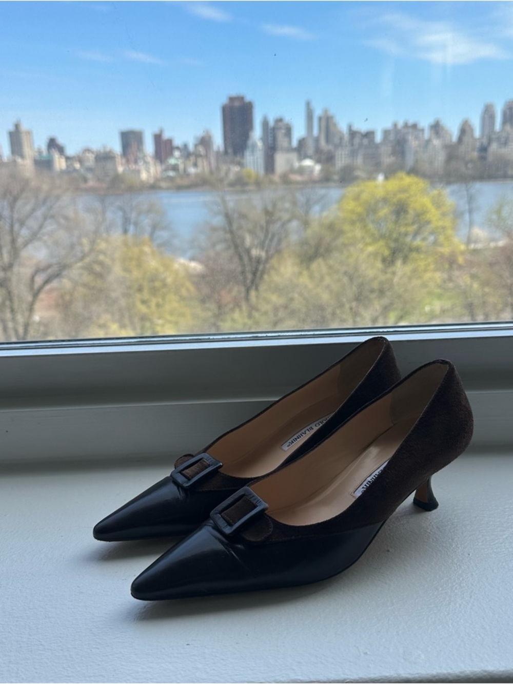 Manolo Blahnik Brown Pointed Toe Kitten Heel Pumps with Buckle